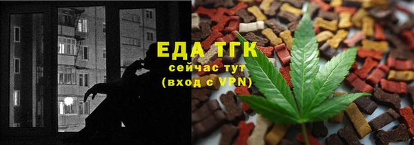 хмурый Арсеньев