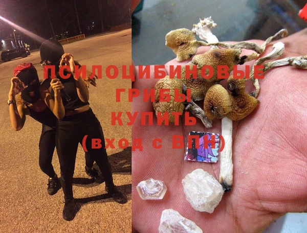 хмурый Арсеньев