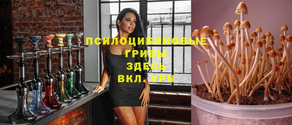 мяу мяу мука Балахна