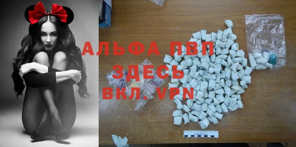 прущие грибы Баксан