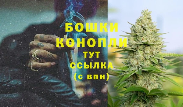 прущие грибы Баксан