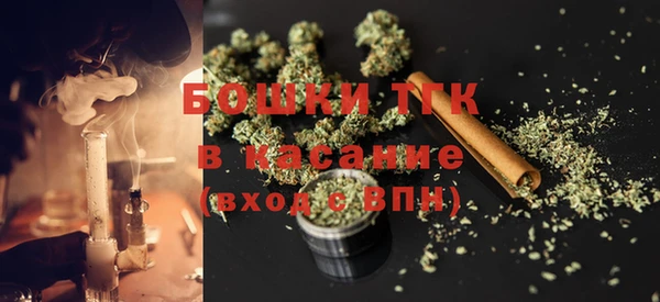 хмурый Арсеньев
